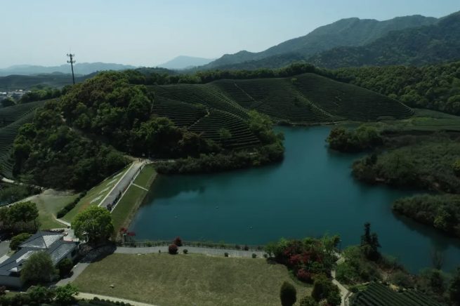 建設智慧生態(tài)茶園，托普云農(nóng)為西湖龍井茶“保駕護航”